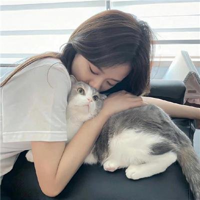 王的命令 第二季